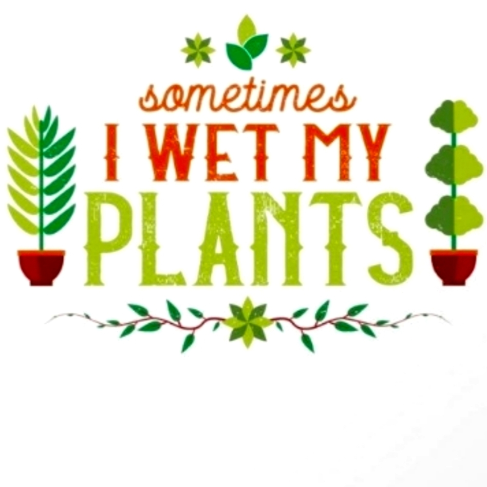 🪴Pots, Faux Plants, Planter Lovers Delights...